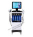 14 IN 1 Hydra Facial Machine